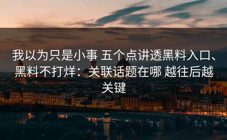 我以为只是小事 五个点讲透黑料入口、黑料不打烊：关联话题在哪 越往后越关键
