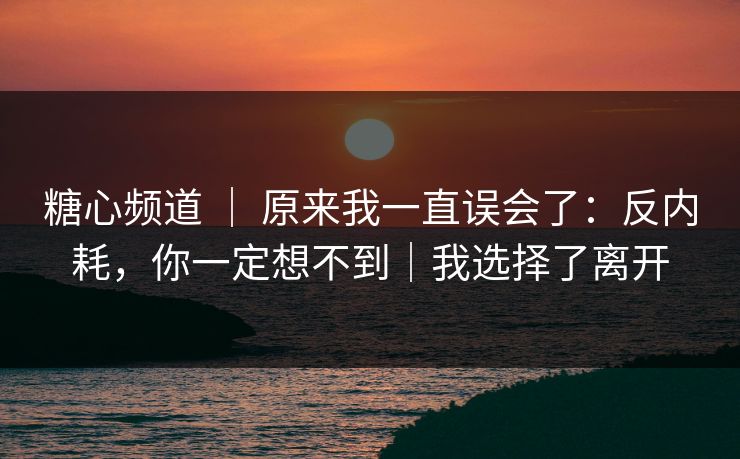 糖心频道 ｜ 原来我一直误会了：反内耗，你一定想不到｜我选择了离开