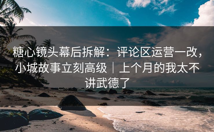 糖心镜头幕后拆解：评论区运营一改，小城故事立刻高级｜上个月的我太不讲武德了