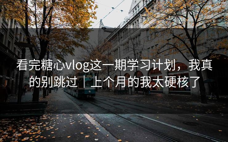 看完糖心vlog这一期学习计划，我真的别跳过｜上个月的我太硬核了