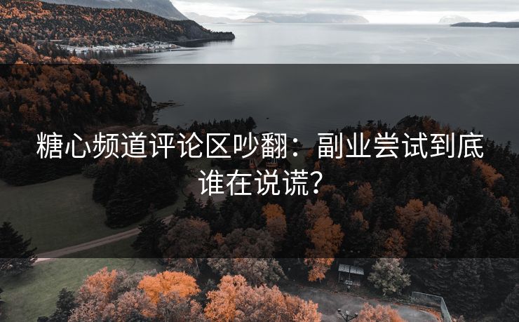 糖心频道评论区吵翻：副业尝试到底谁在说谎？
