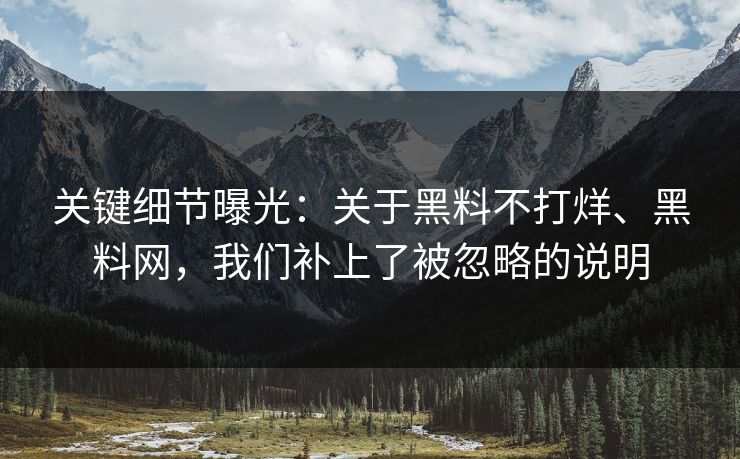 关键细节曝光：关于黑料不打烊、黑料网，我们补上了被忽略的说明