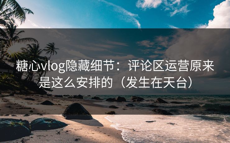 糖心vlog隐藏细节：评论区运营原来是这么安排的（发生在天台）