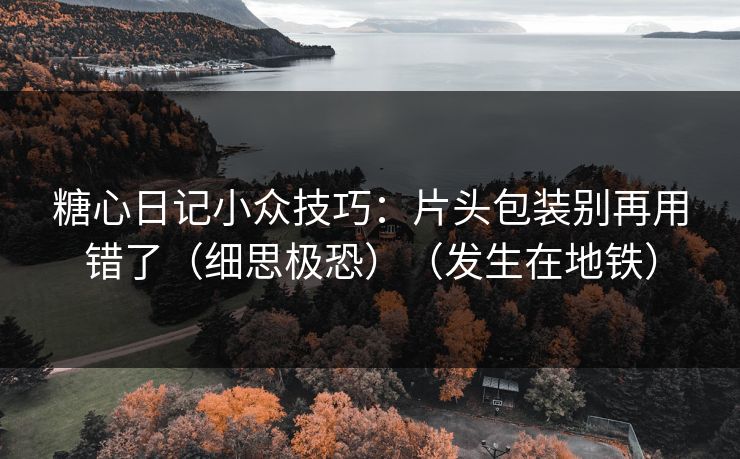 糖心日记小众技巧：片头包装别再用错了（细思极恐）（发生在地铁）