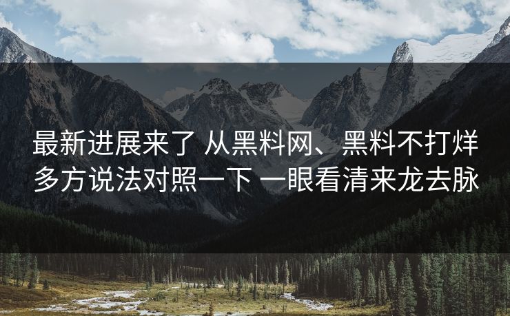 最新进展来了 从<strong>黑料网</strong>、黑料不打烊多方说法对照一下 一眼看清来龙去脉