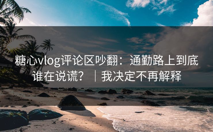 糖心vlog评论区吵翻：通勤路上到底谁在说谎？｜我决定不再解释